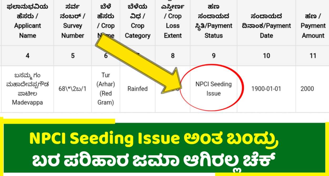 NPCI Seeding issue| ಈ ತೊಂದರೆಯಿಂದ ಸಹ ನಿಮಗೆ ಪರಿಹಾರ ಹಣ ಜಮೆ ಆಗಿರುವುದಿಲ್ಲ ಚೆಕ್ ಮಾಡಿ!