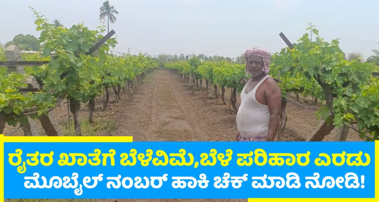 ಬೆಳೆವಿಮೆ ಮತ್ತು ಬರ ಪರಿಹಾರ ಎರಡು ರೈತರ ಖಾತೆಗೆ ಜಮಾ ನಿಮ್ಮ ಮೊಬೈಲ್ ಸಂಖ್ಯೆ ಹಾಕಿ ಎರಡು ಸ್ಟೇಟಸ್ ಚೆಕ್ ಮಾಡಿ