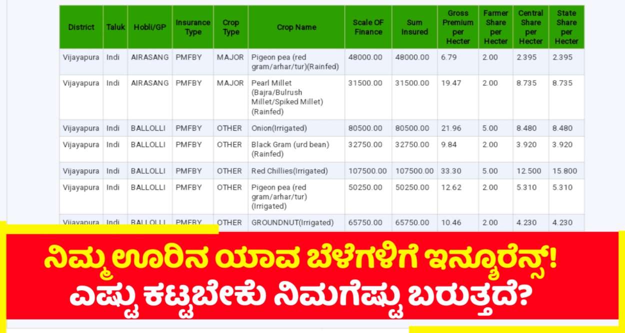 ನಿಮ್ಮ ಊರಿನ ಯಾವ ಬೆಳೆಗೆ ಇನ್ಸೂರೆನ್ಸ್ ಕಟ್ಟಬೇಕು ಮತ್ತು ಎಷ್ಟು ವಾಪಸ್ ನಿಮಗೆ ದೊರೆಯುತ್ತದೆ?