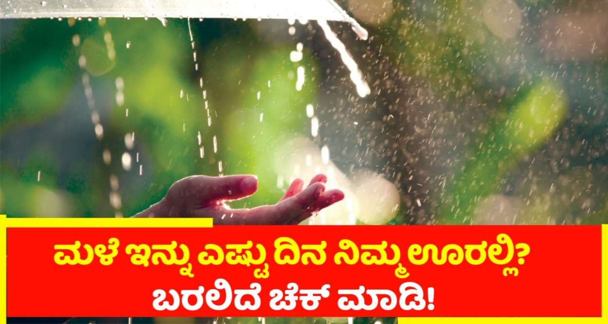 Rainfall alert in Karnataka|ಮಳೆ ಮುನ್ಸೂಚನೆ ಇನ್ನು ಎಷ್ಟು ಮಳೆ ಆಗಲಿದೆ! ಚೆಕ್ ಮಾಡಿ