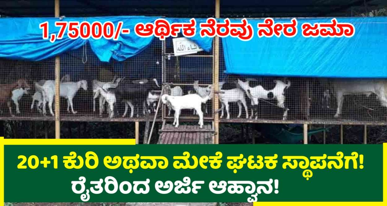 20+1 ಕುರಿ ಅಥವಾ ಮೇಕೆ ಘಟಕ ಸ್ಥಾಪನೆಗೆ ಅರ್ಜಿ ಆಹ್ವಾನ! 1,75000/- ಆರ್ಥಿಕ ನೆರವು