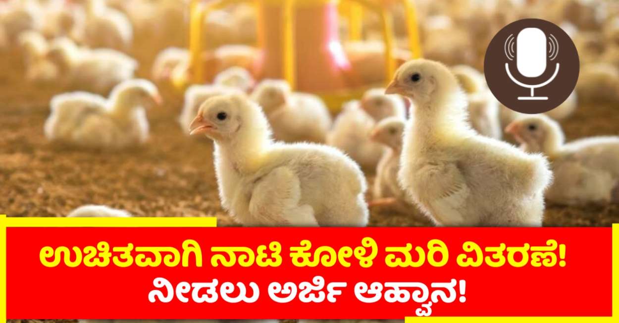 ಉಚಿತವಾಗಿ ನಾಟಿ ಕೋಳಿ ಮರಿ ನೀಡಲು ಅರ್ಜಿ ಆಹ್ವಾನ!